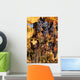 Black Grapes Closeup Portrait Wall Decal
