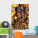 Black Grapes Closeup Portrait Wall Decal