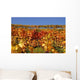 Colorful Vines Landscape Wall Decal