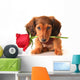 Dachshund Valentine Puppy Wall Decal