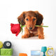 Dachshund Valentine Puppy Wall Decal