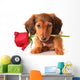 Dachshund Valentine Puppy Wall Decal