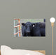 Black Angus Wall Decal
