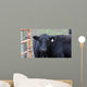 Black Angus Wall Decal