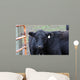 Black Angus Wall Decal
