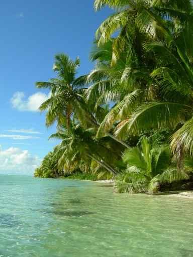 St Joseph 1 Wall Decal