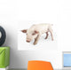 Nosy Little Pig Wall Decal