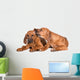 Two Adorable Puppies Wall Decal
