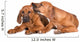Two Adorable Puppies Wall Decal