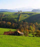 Appenzell Wall Decal Design 2
