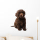 Labradoodle Mini Puppy Wall Decal