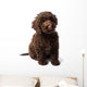 Labradoodle Mini Puppy Wall Decal