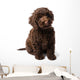 Labradoodle Mini Puppy Wall Decal
