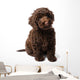 Labradoodle Mini Puppy Wall Decal