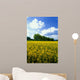 Flowering Rape Field Trees Wall Decal