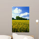 Flowering Rape Field Trees Wall Decal