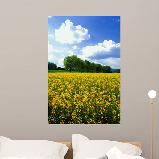 Flowering Rape Field Trees Wall Decal