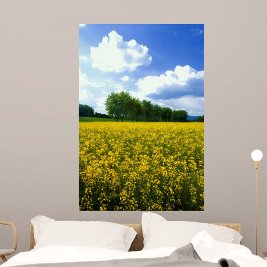 Flowering Rape Field Trees Wall Decal