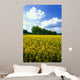 Flowering Rape Field Trees Wall Decal