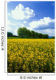 Flowering Rape Field Trees Wall Decal