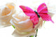 Roses and Butterfly Wall Decal