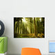 Pine Forest Wall Decal