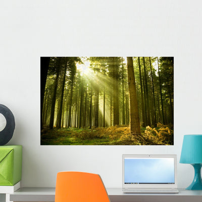 Pine Forest Wall Decal shown on a wall