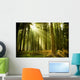 Pine Forest Wall Decal