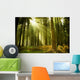 Pine Forest Wall Decal