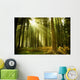 Pine Forest Wall Decal