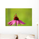 Rudbeckia and Butterfly Wall Decal