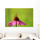 Rudbeckia and Butterfly Wall Decal