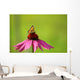 Rudbeckia and Butterfly Wall Decal