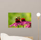 Rudbeckia and Butterflies Wall Decal