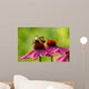 Rudbeckia and Butterflies Wall Decal