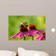 Rudbeckia and Butterflies Wall Decal