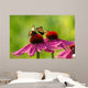 Rudbeckia and Butterflies Wall Decal