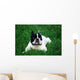 Bull Dog French Wall Decal