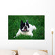 Bull Dog French Wall Decal