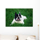 Bull Dog French Wall Decal