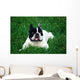 Bull Dog French Wall Decal