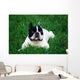 Bull Dog French Wall Decal