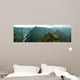 Foggy Machu Picchu Wall Decal Panoramic Wall Decal