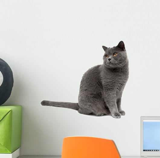 Gray Cat Wall Decal