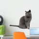Gray Cat Wall Decal