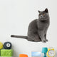 Gray Cat Wall Decal