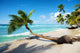 Caribbean Tropical Beach Wall Decal