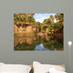 Thousand Palms Oasis California Wall Decal