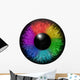 Rainbow Eye Wall Decal