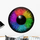 Rainbow Eye Wall Decal
